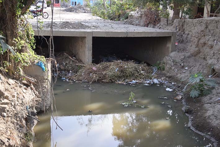 Comparendos ambientales: Llamado urgente al Concejo de Ciénaga para una acción decisiva