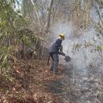 Bomberos de Ciénaga combatieron incendio forestal en la vereda Nueva Esperanza, corregimiento de Cordobita