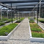 CORPAMAG entrega megavivero bioclimático a la I.E San Juan del Córdoba en Ciénaga