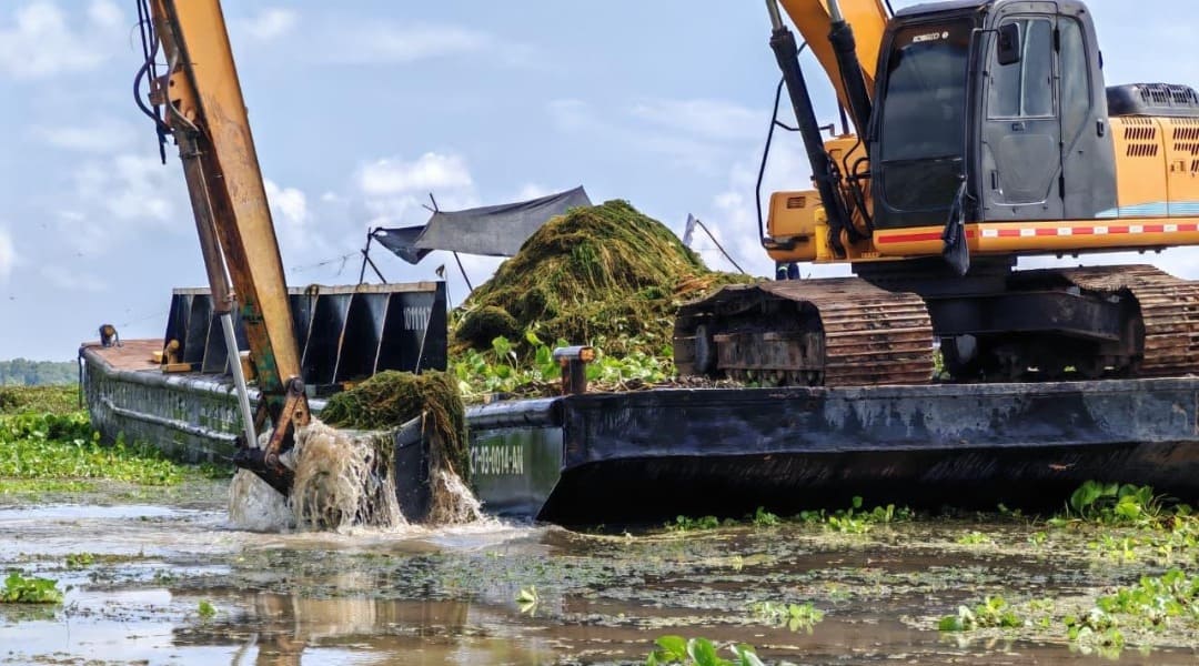 Corpamag culmina la remoción mecánica piloto de una hectárea de Hydrilla en la Ciénaga Grande de Santa Marta