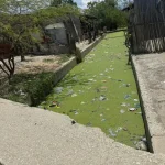 ¡Faltan mantenimientos! Canal de desagüe genera preocupación en la comunidad del barrio Elisa Celedon