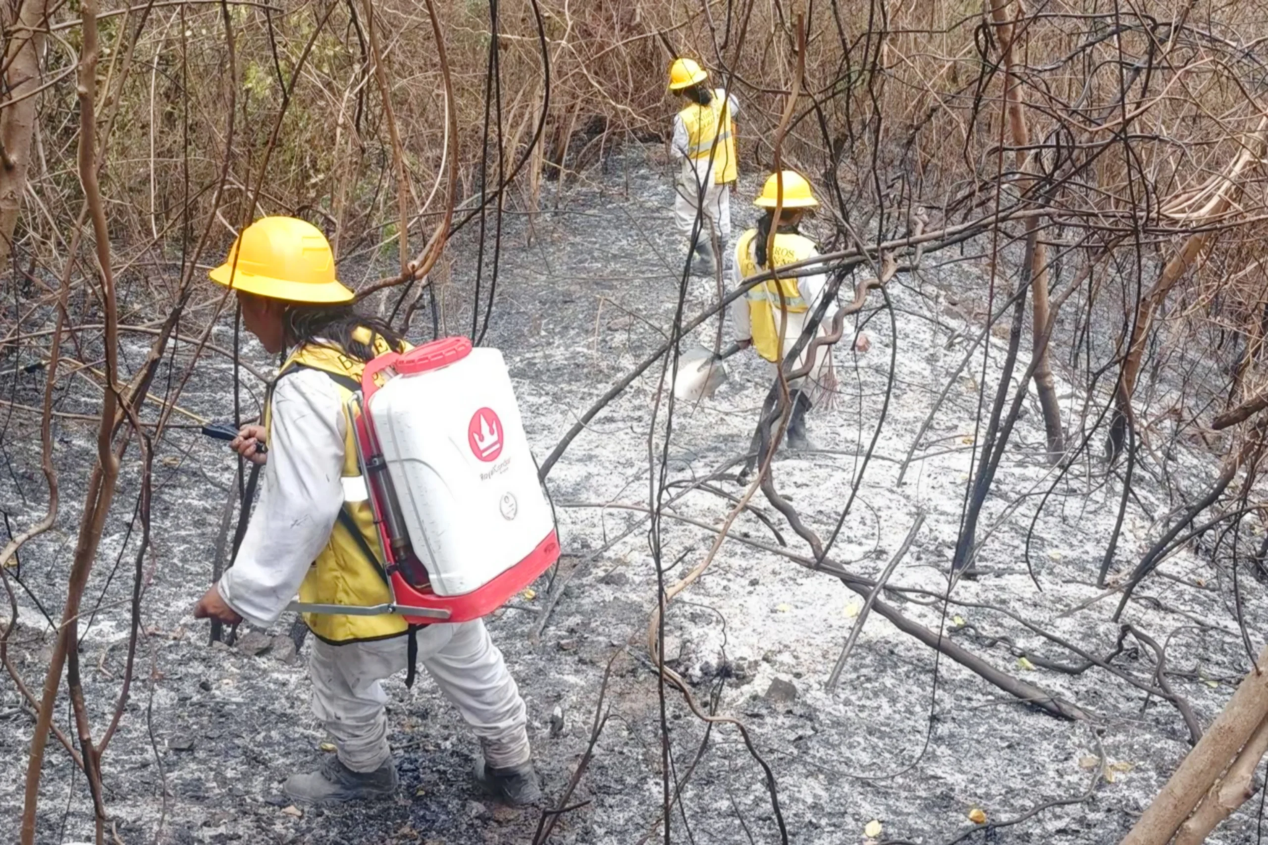 Gestión de Riesgos y Desastres articula acciones con Bomberos de Ciénaga para minimizar incendios forestales