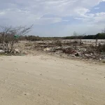 Amenaza ambiental en Sevillano: habitantes claman por la recolección de residuos y proyectos de reforestación
