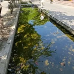 Alerta en la calle 16: comerciantes y habitantes exigen soluciones inmediatas por estancamiento de aguas residuales