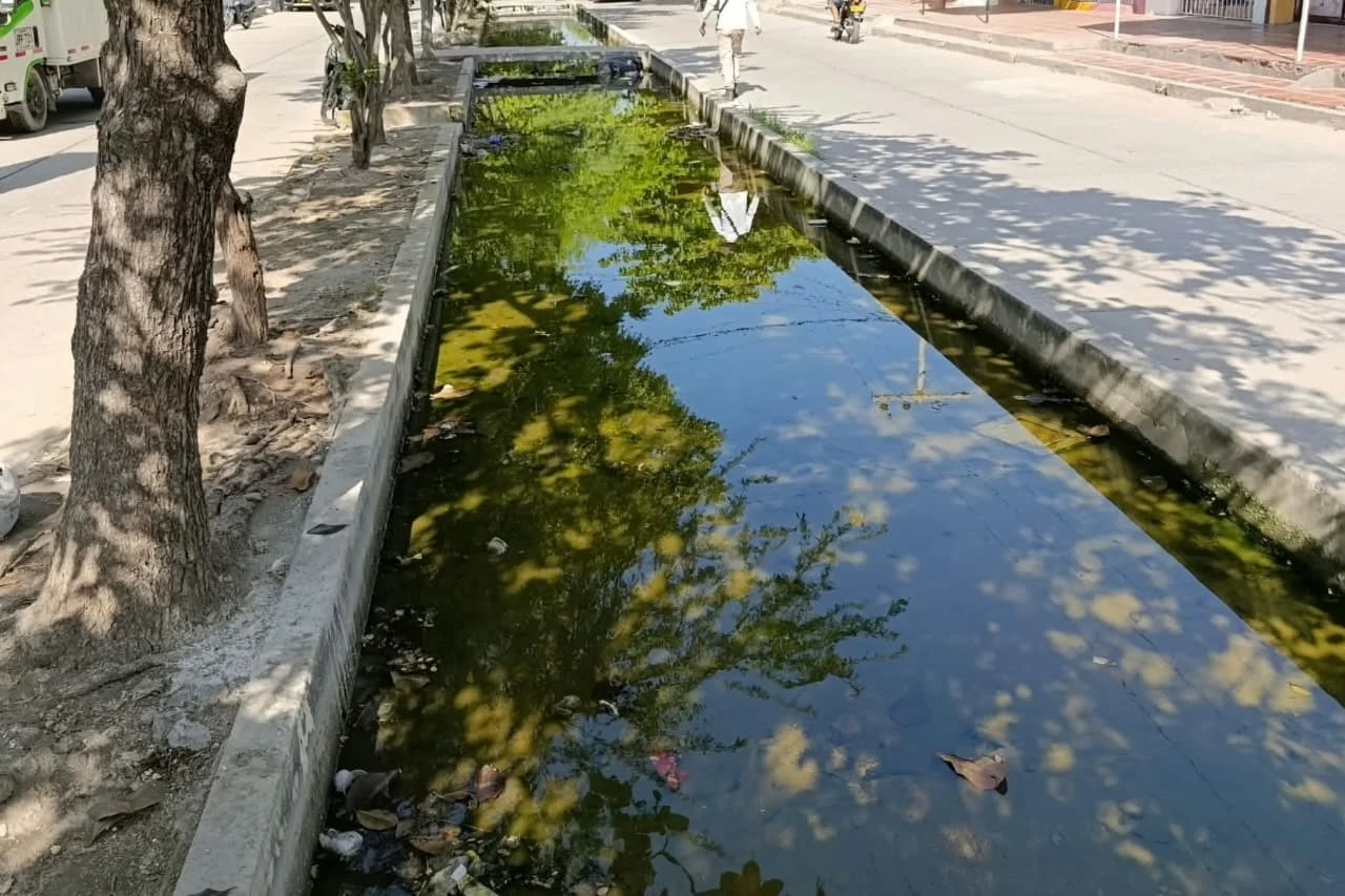 Alerta en la calle 16: comerciantes y habitantes exigen soluciones inmediatas por estancamiento de aguas residuales