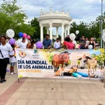 Ciénaga marchó por quienes no tienen voz: ciudadanos exigieron respeto y protección para los animales